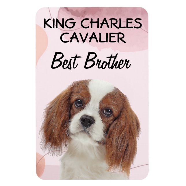 King Charles Cavalier Best Brother Magnet (Vertical)