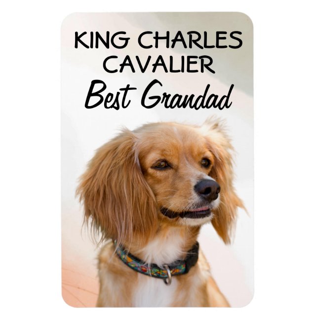 King Charles Cavalier Best Grandad  Magnet (Vertical)