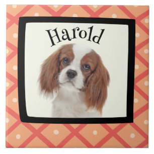 King Charles Cavalier customised photo frame Tile