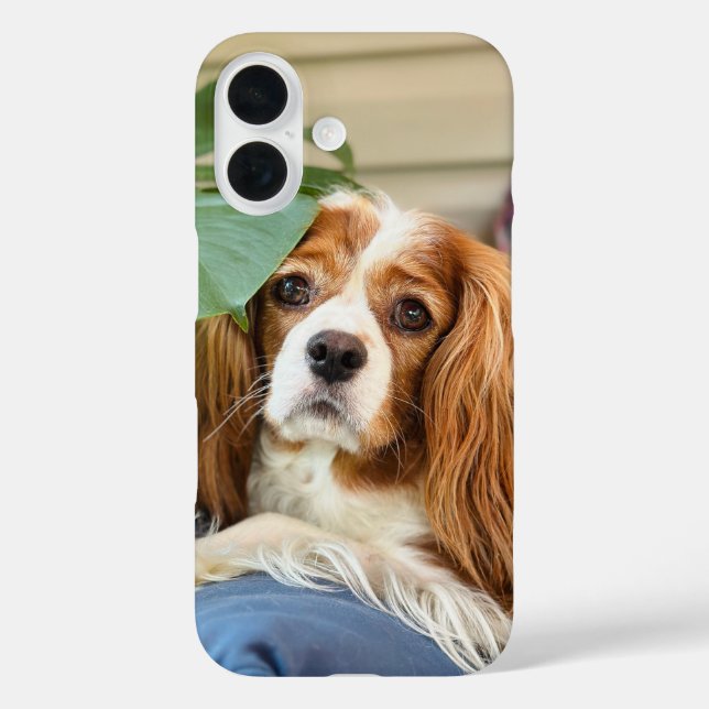  King Charles Cavalier iPhone Case 16 (Back)