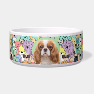 King Charles Cavalier Personalised Photo & Name