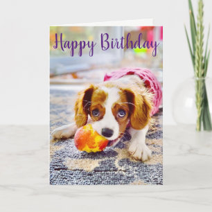 King Charles Cavalier Puppy Greeting Card