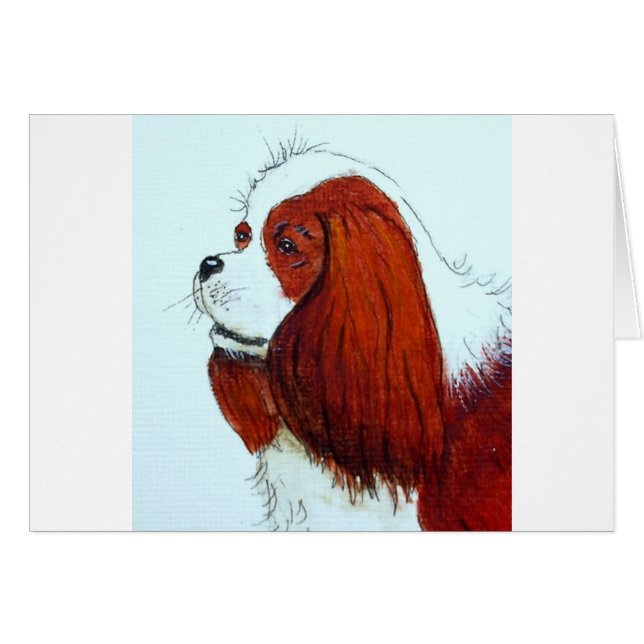 King Charles Cavalier Spaniel (Front Horizontal)