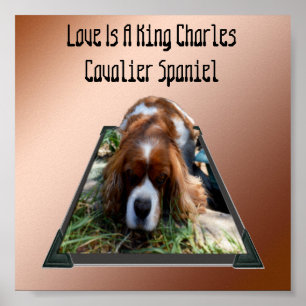 King Charles Cavalier Spaniel, Pop Out Art Poster