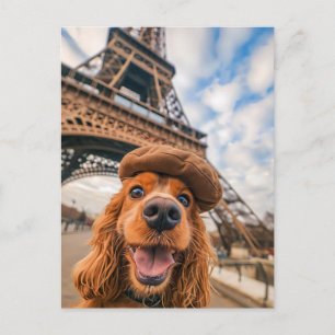 King Charles Cocker Spaniel in Paris Holiday Postcard