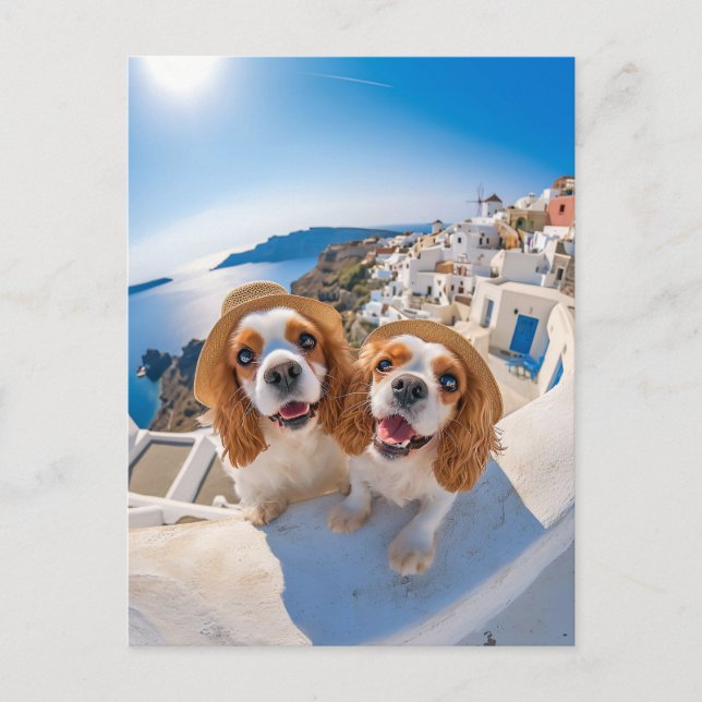 King Charles Cocker Spaniel in Santorini Holiday Postcard (Front)