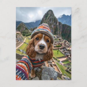 King Charles Cocker Spaniel Takes Selfies Across t Holiday Postcard