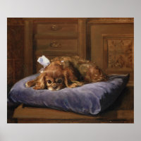 King Charles Spaniel