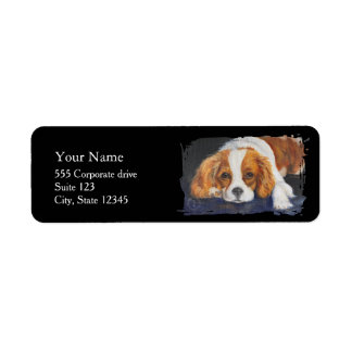 king Charles spaniel  Return Address Labels