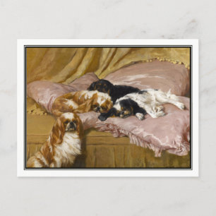 King Charles Spaniels by Arthur Wardle Postcard