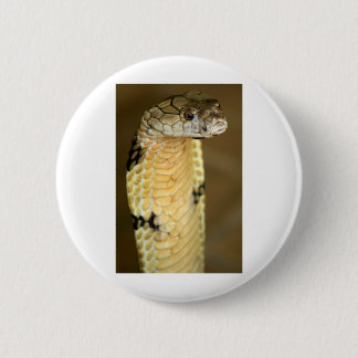 king cobra 6 cm round badge