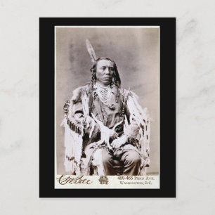 King Crow 1880 Postcard