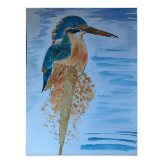 King Fisher Bird Photo Print