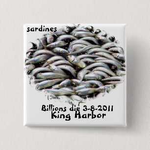 King Harbour-Sardines_ 15 Cm Square Badge