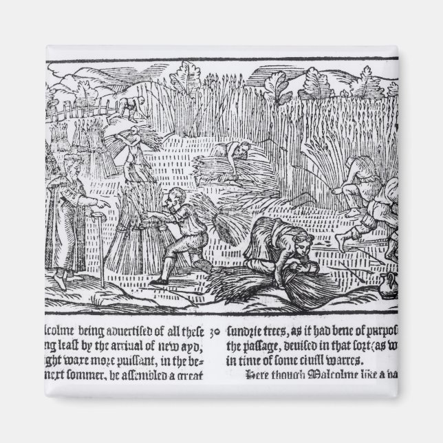 King Malcolm of Scotland Magnet (Front)