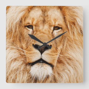 King of the Beasts Square Wall Clock