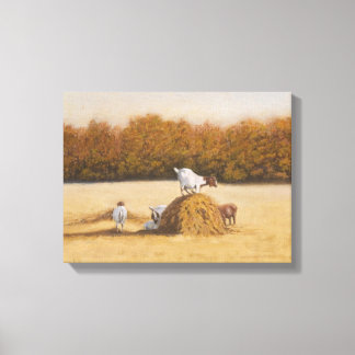 King of the Hill Canvas Print