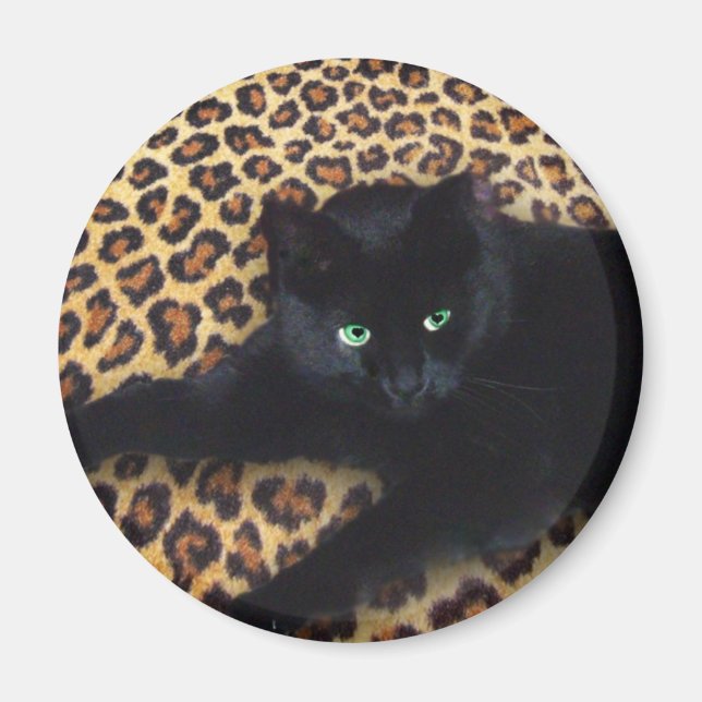 King of the Jungle Magnet (Front)