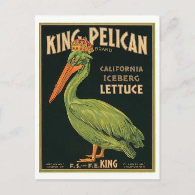 King Pelican Clarksburg California Iceberg Lettuce Postcard (Front)