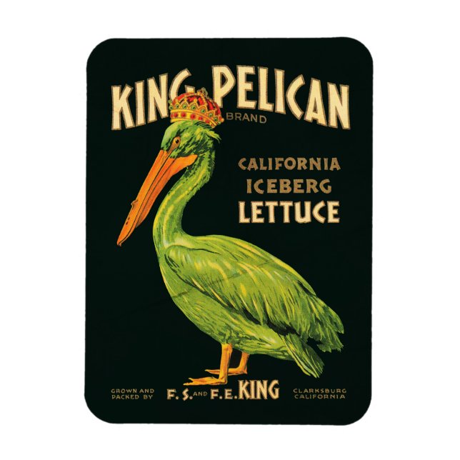 King Pelican Iceberg Lettuce Magnet (Vertical)
