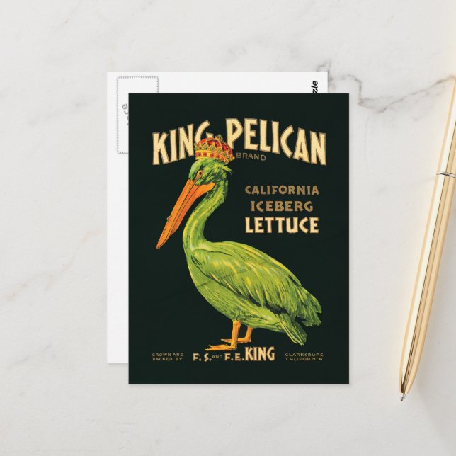King Pelican Iceberg Lettuce Postcard (Front/Back In Situ)