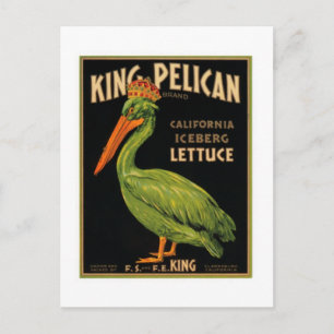 King Pelican Lettuce Postcard