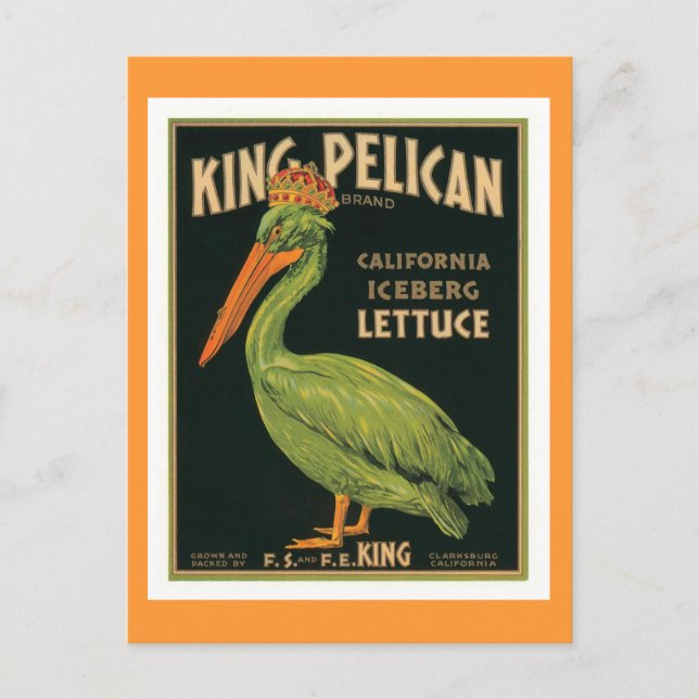 King Pelican Vintage Label Postcard (Front)