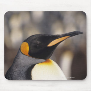 King penguin (Aptenodytes patagonicus) Mouse Pad
