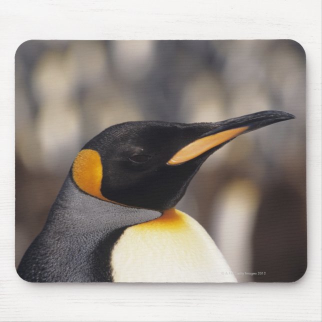 King penguin (Aptenodytes patagonicus) Mouse Pad (Front)
