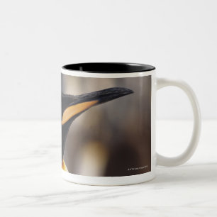 King penguin (Aptenodytes patagonicus) Two-Tone Coffee Mug