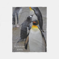 King Penguin & Friends Edinburgh Zoo Scotland