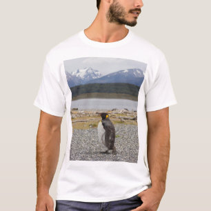 King Penguin, Isla Martillo, Tierra Del Fuego T-Shirt