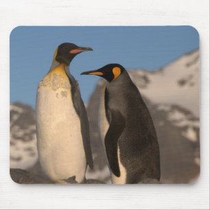 King Penguin Mouse Pad