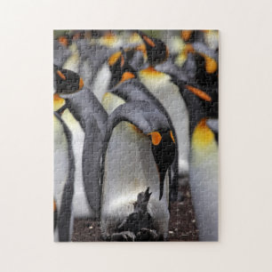 King Penguin with Chick Jigsaw Puzzle