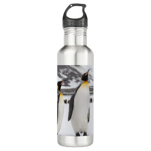 King Penguins 710 Ml Water Bottle