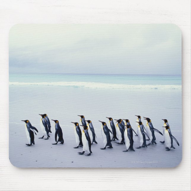 King penguins (Aptenodytes patagonicus) Mouse Pad (Front)