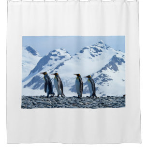 King Penguins at South Georgia Shower Curtain