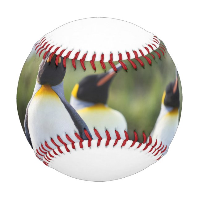 King penguins baseball (Front)