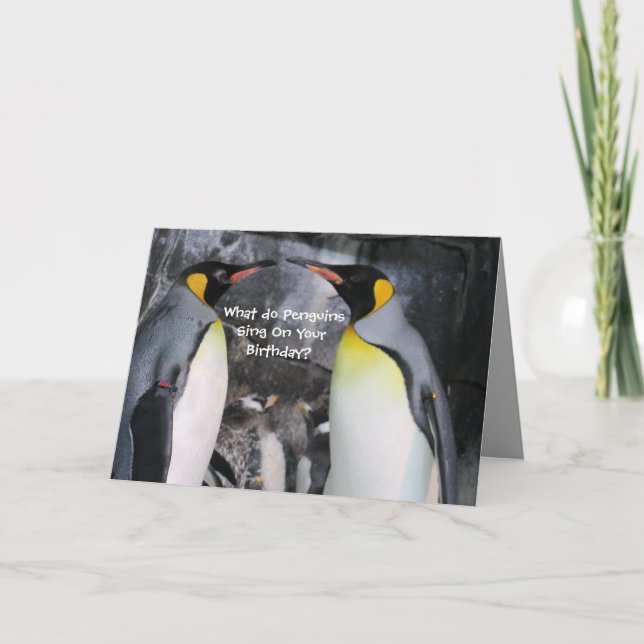 King Penguins Birthday Card (Front)