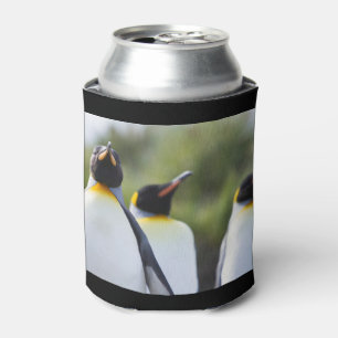 King penguins can cooler