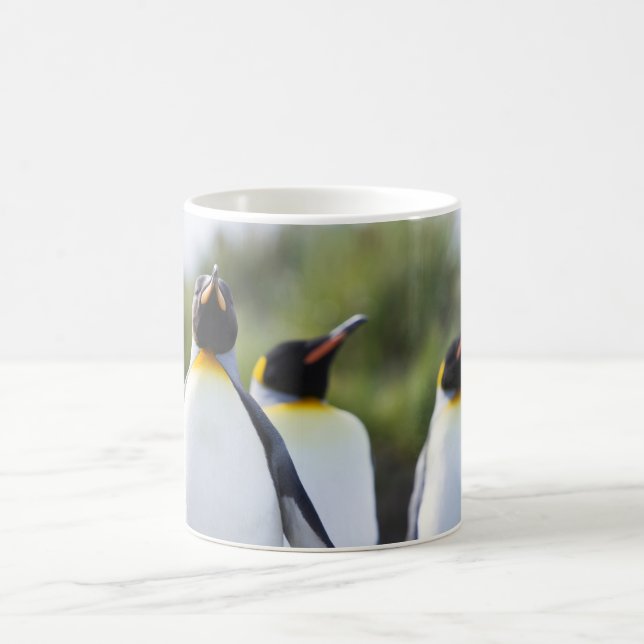 King penguins coffee mug (Center)
