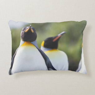 King penguins decorative cushion