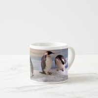 King penguins