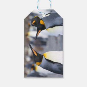 King Penguins Gift Tags