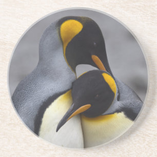 King Penguins in Love Coaster