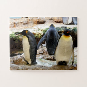 King Penguins Jigsaw Puzzle