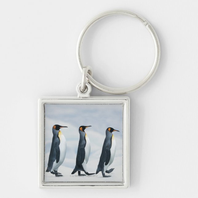 King Penguins Key Ring (Front)