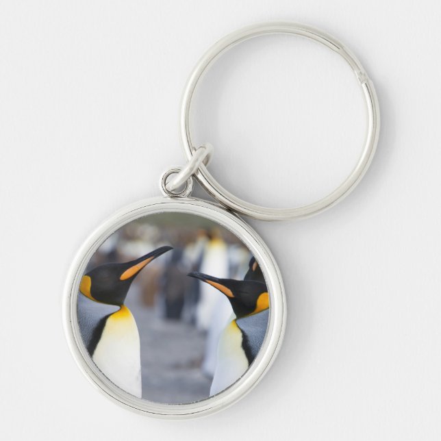 King Penguins Key Ring (Front)