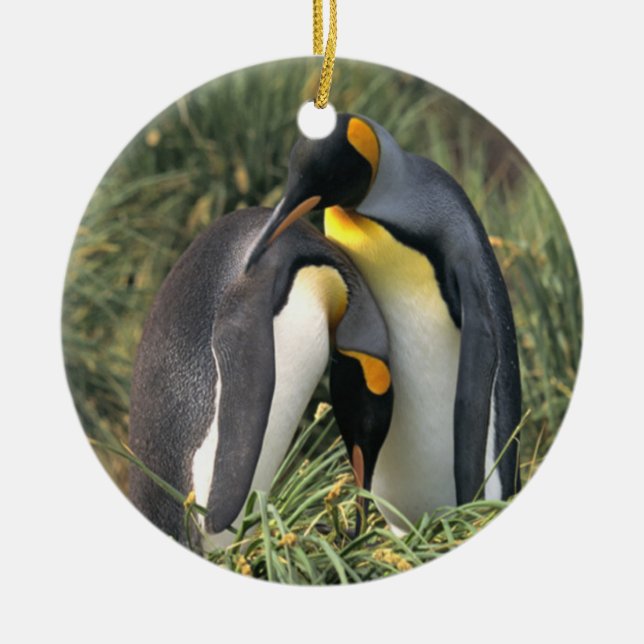 King penguins Lovers Ceramic Tree Decoration (Front)
