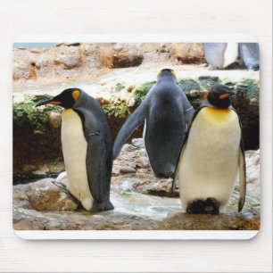King Penguins Mouse Pad